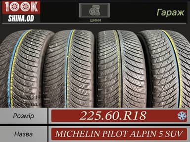 Michelin pilot alpin 5 suv