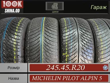 Michelin Pilot Alpin 5