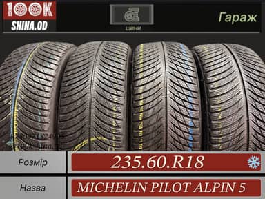 Michelin Pilot Alpin 5