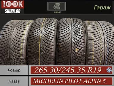 Michelin Pilot Alpin 5